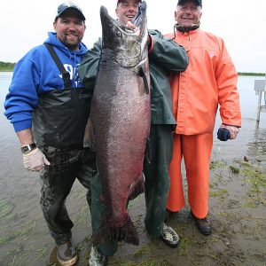 A truly mammoth salmon caught from the Nushagak river