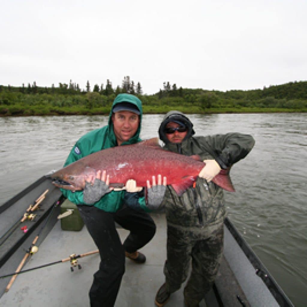 Alaskas Nushagak River Salmon57 Alaska King Salmon 8753