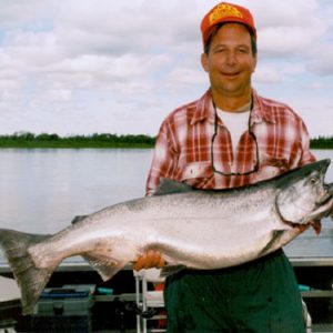 A boat fisherman holds the large king/chinook salmon that he caught on alaska's nushagak river