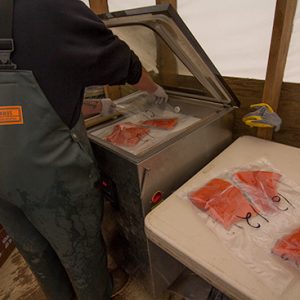 nushagak-river-salmon-vacuum-packed