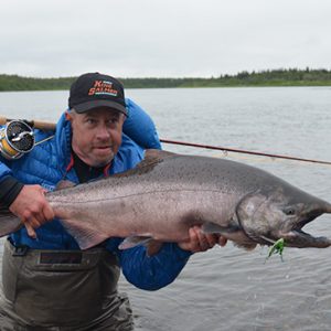 A nice Nushagak King Salmon caught on the fly